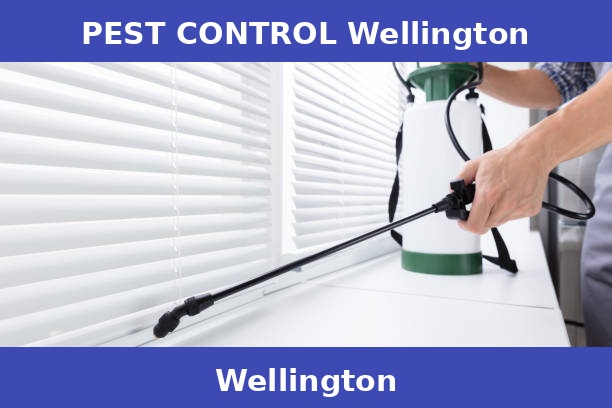 PEST CONTROL Wellington